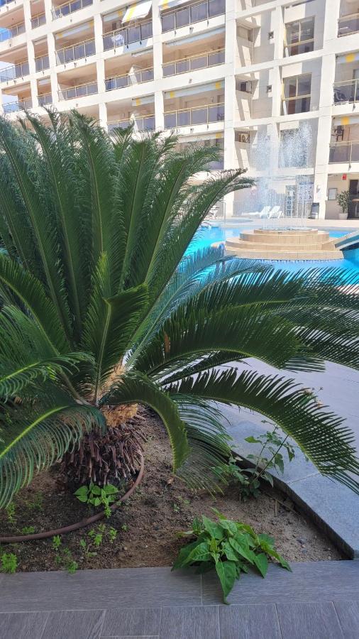 סאלו Platan Apartment מראה חיצוני תמונה
